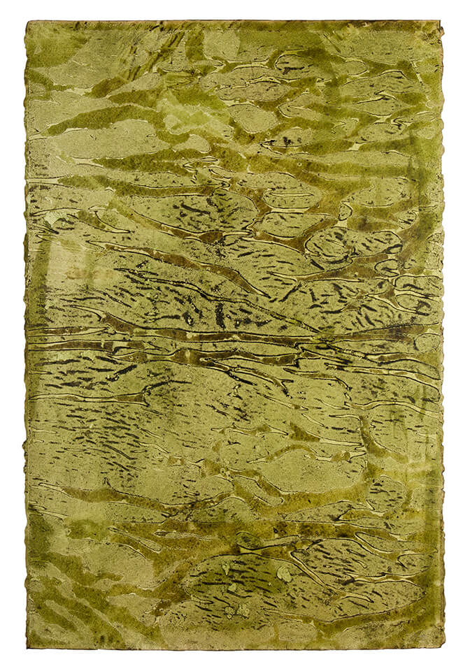 chontaduro papel 20.jpg
